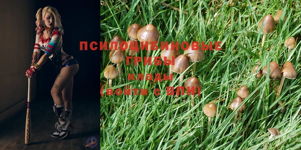 jwh Мегион
