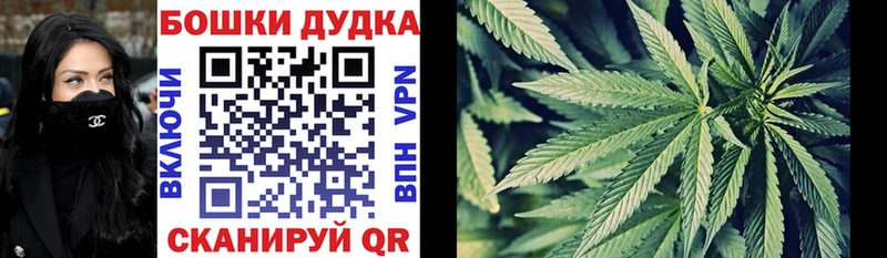 Каннабис AK-47  Купить закладки  Электроугли 